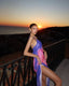 Eulalia | Slim Backless Printed Maxi Dress