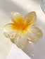 Brooklyn | Presilha de Cabelo Floral Brilhante